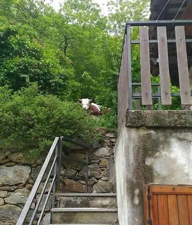 Il Ciclamino Tatil Evi *